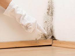 Best Black Mold Removal  in Lakeland Highlands, FL